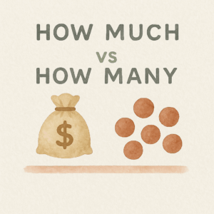 How much vs How many 차이, 예문으로 완벽 정리 | 10분이면 끝